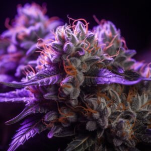 THCA Cannabinoid: Unveil 5 Essential, Positive Insights