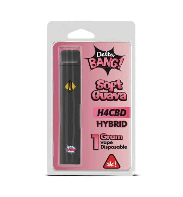 H4-CBD Deltabang disposable (1ml)