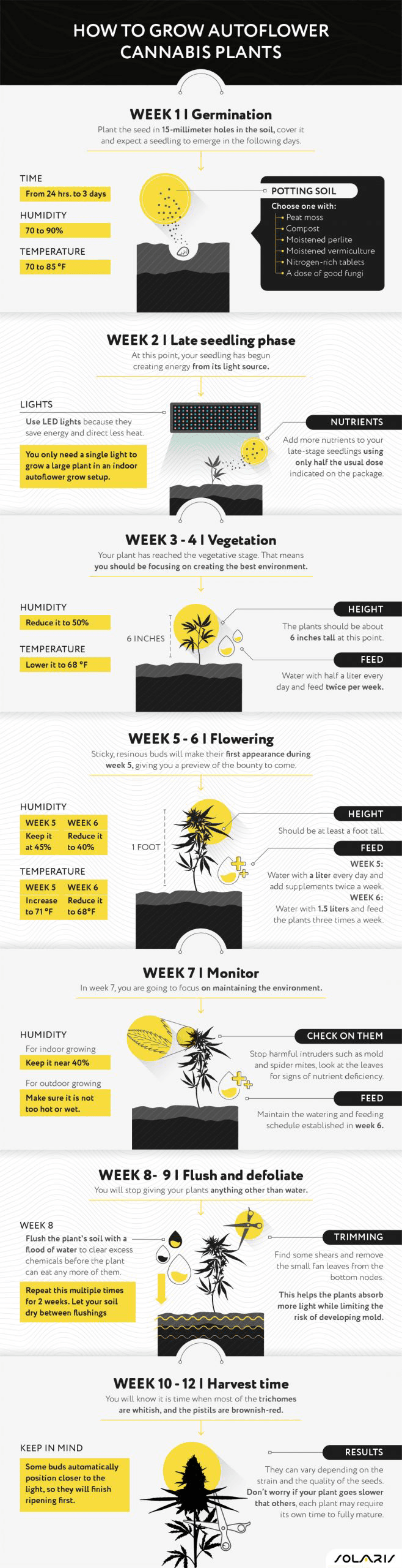 Growing Autoflowering Cannabis Strains