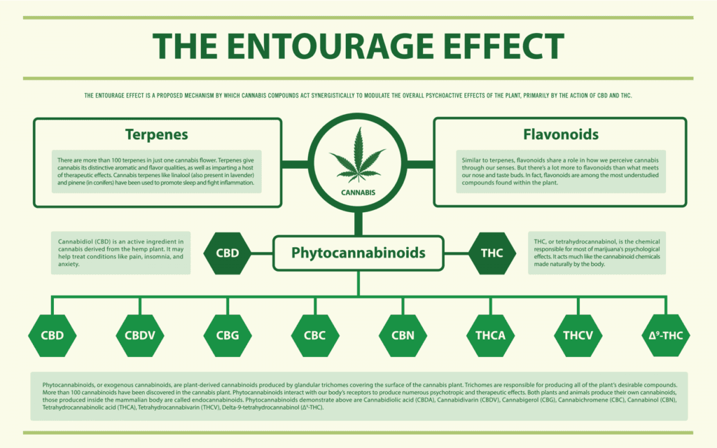 what-exactly-is-the-entourage-effect