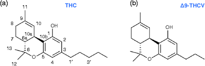THCV Chemical Structure and Properties