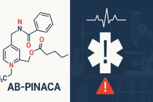 pinaca