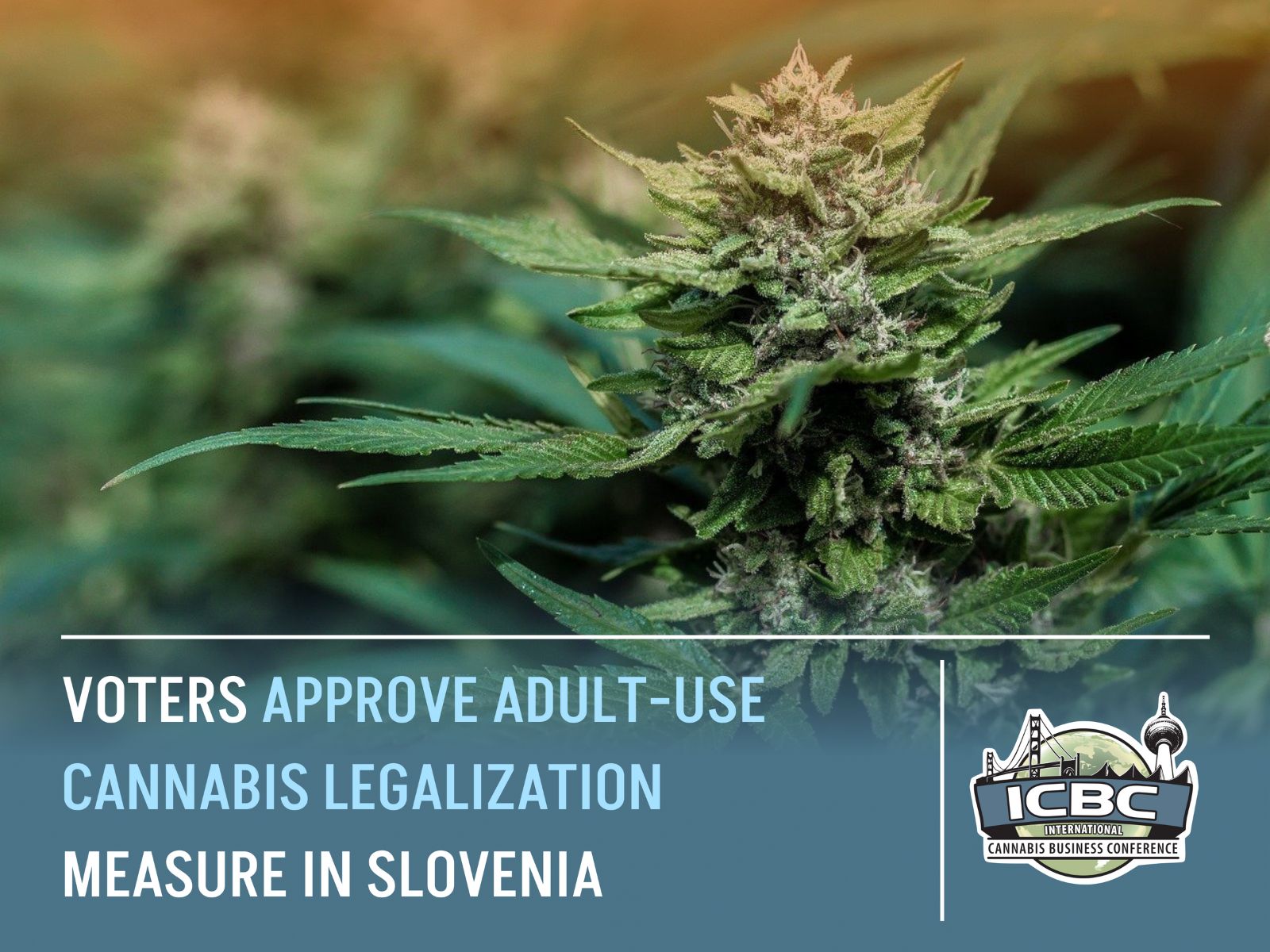adult-use-cannabis-legalization-vote-slovenia slovenia