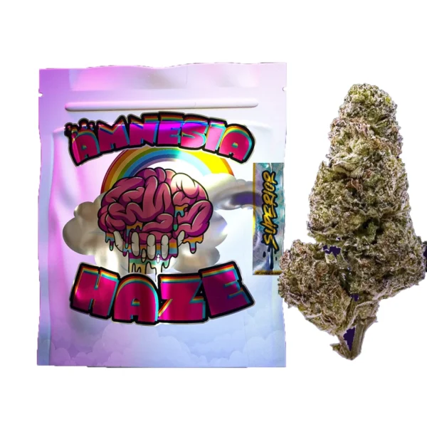 AmnesiaHaze-weed.webp AmnesiaHaze weed