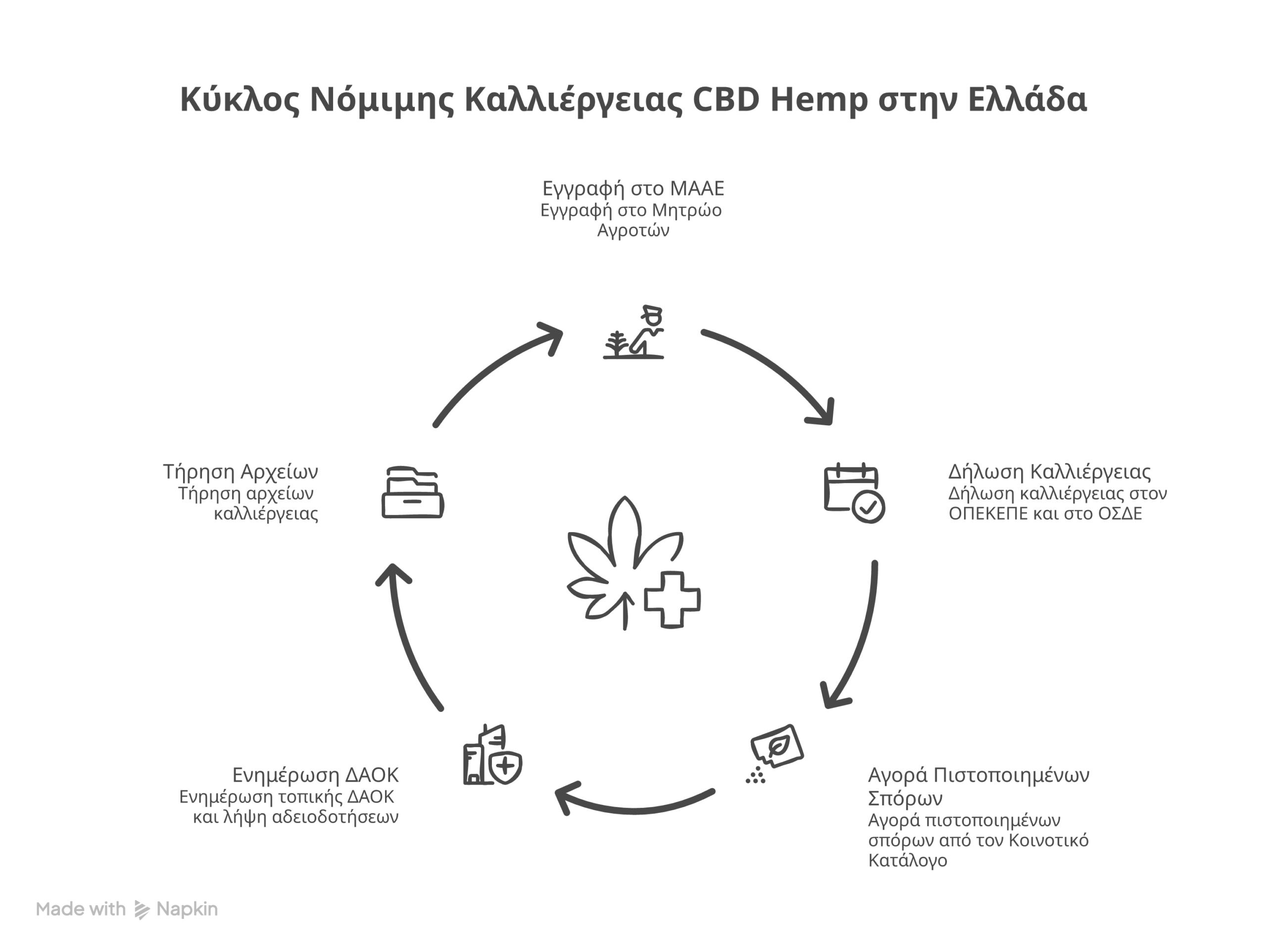 καλλιέργεια CBD hemp infographic