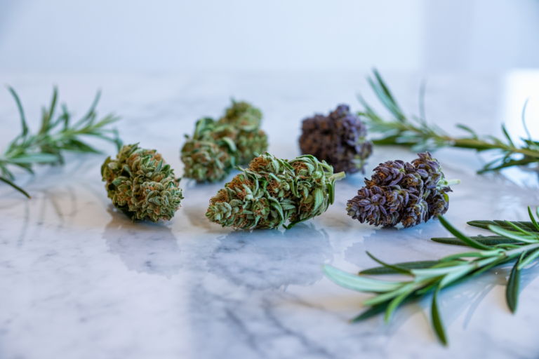 hybrid ποικιλίες κάνναβης - Οι Καλύτερες Hybrid Ποικιλίες Κάνναβης το 2026