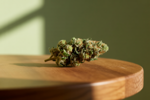 κάνναβη και φωτογραφία - Κάνναβη και Φωτογραφία: Οδηγός Δημιουργίας 2026