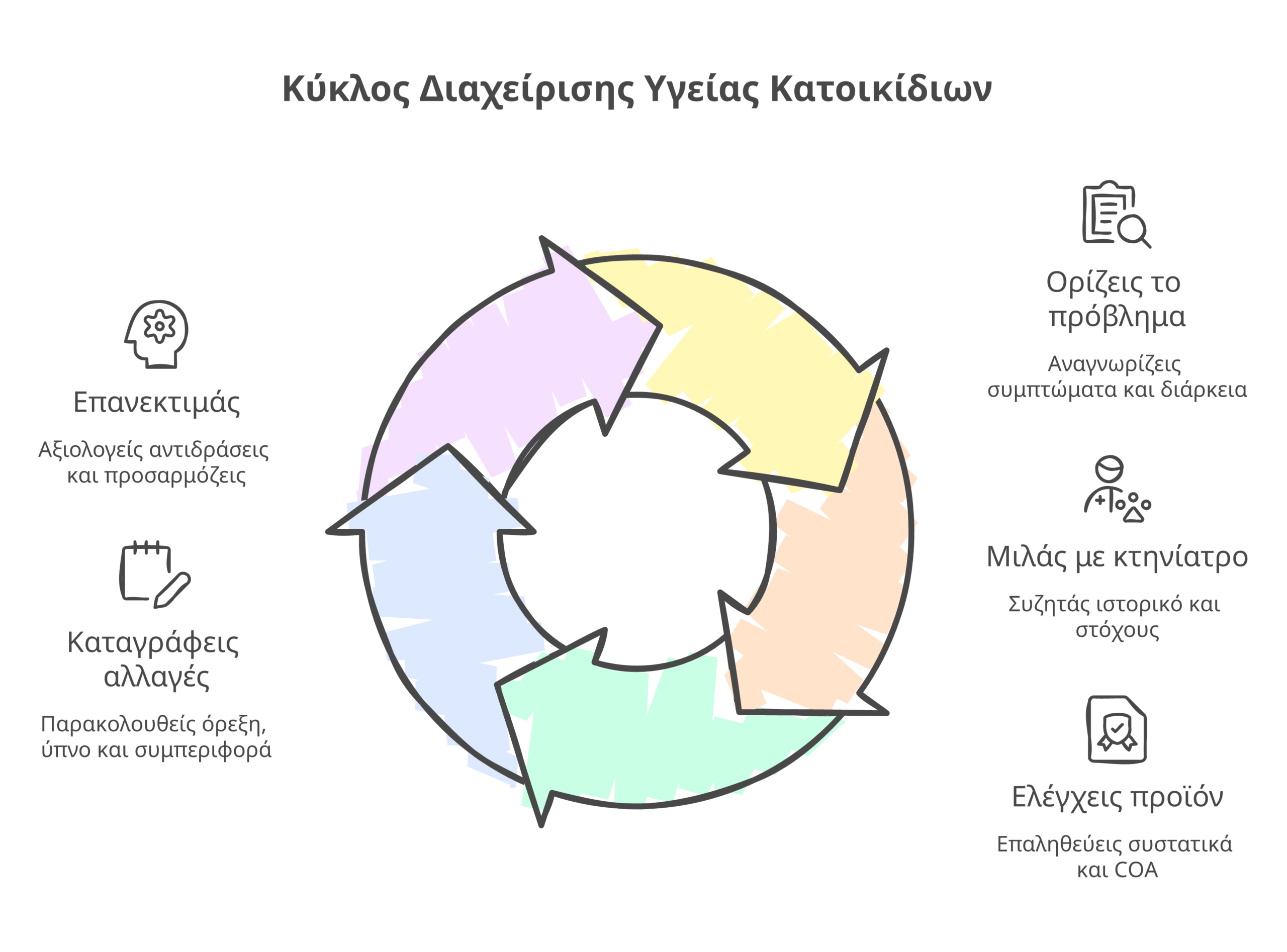 CBD για κατοικίδια infographic