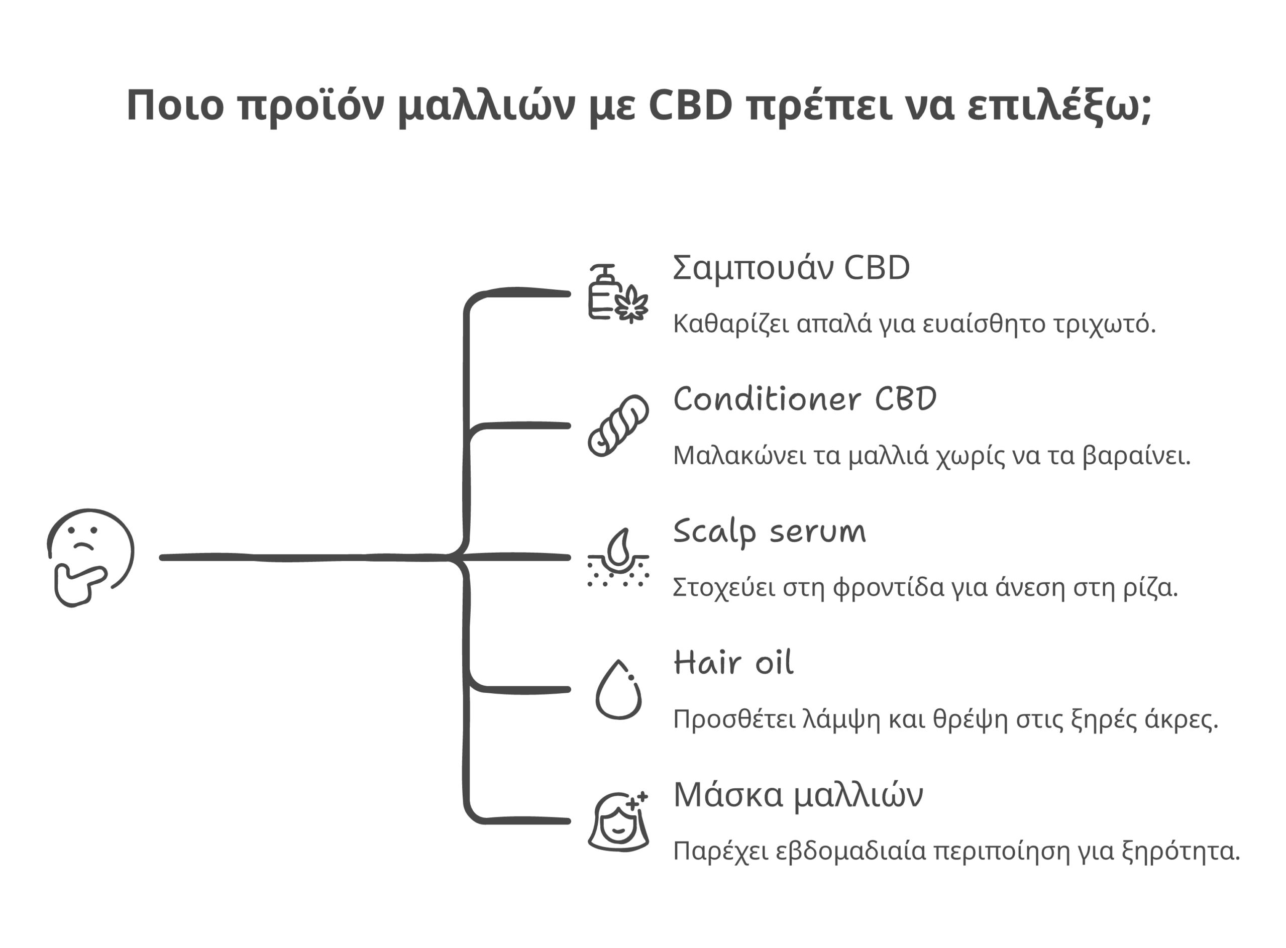 CBD για μαλλιά infographic