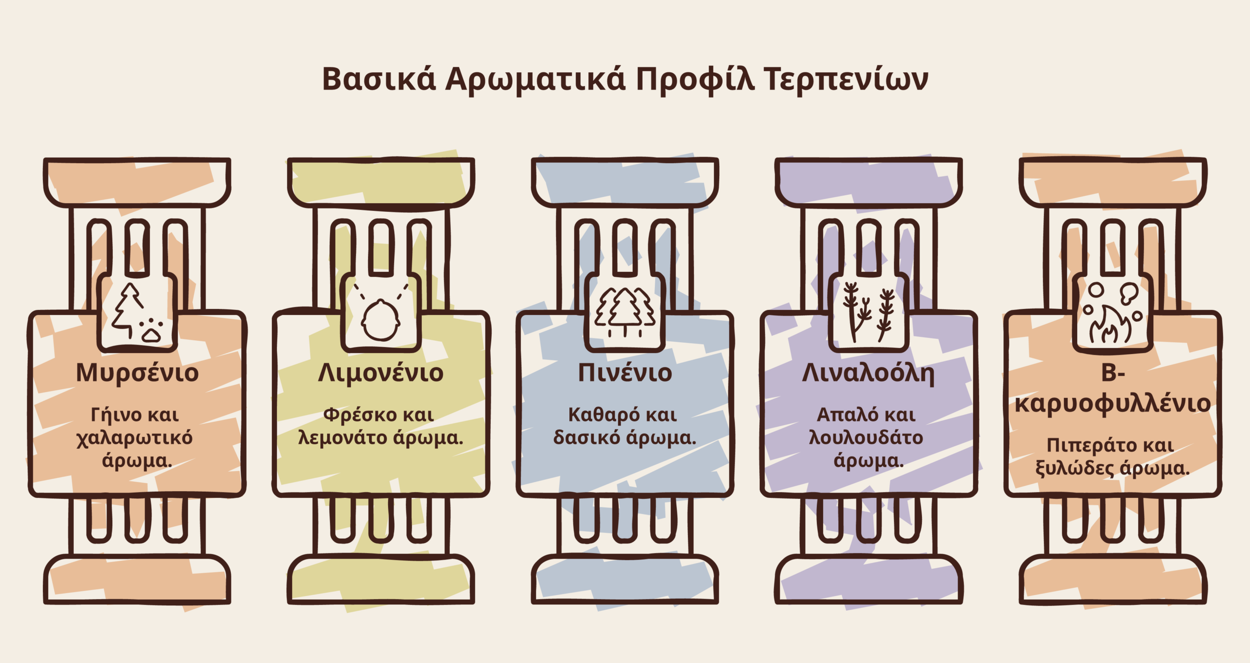 τερπένια κάνναβης infographic